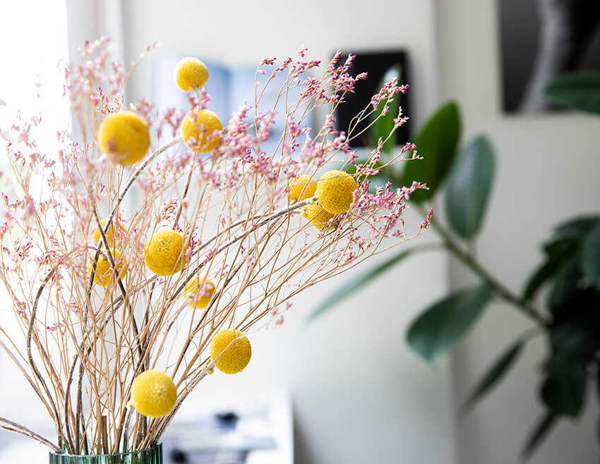 Location du studio photo