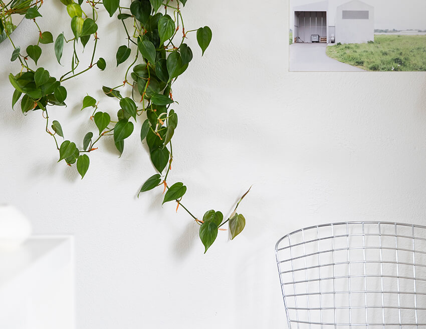 Location du studio photo